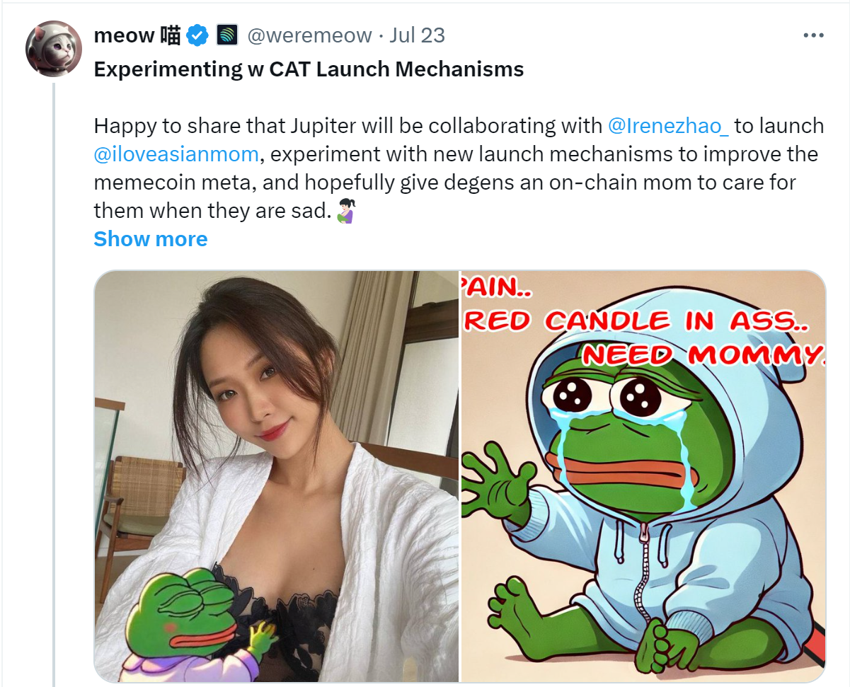 Irene Zhao 现身社区回应激烈质疑,昨晚 Space 都说了些什么?插图5 Irene Zhao 现身社区回应激烈质疑,昨晚 Space 都说了些什么?